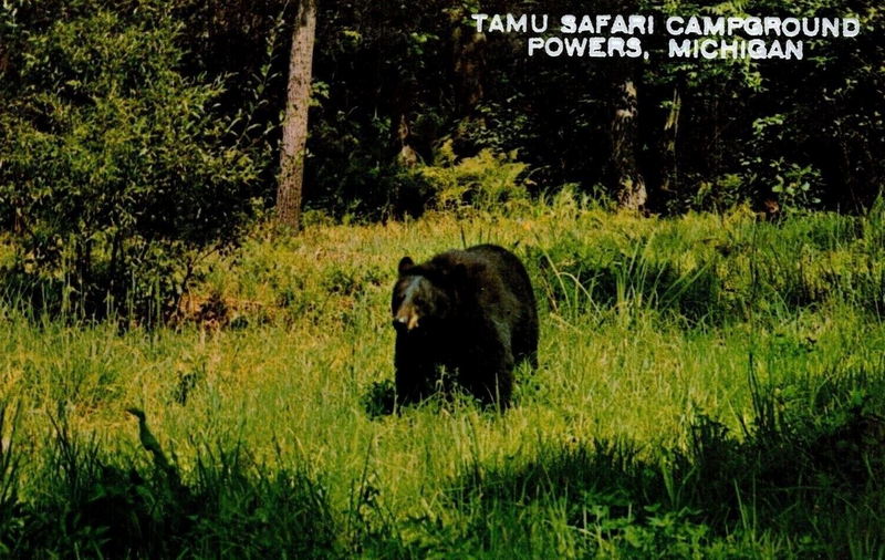 Tamu Safari Campground - Vintage Postcard (newer photo)
